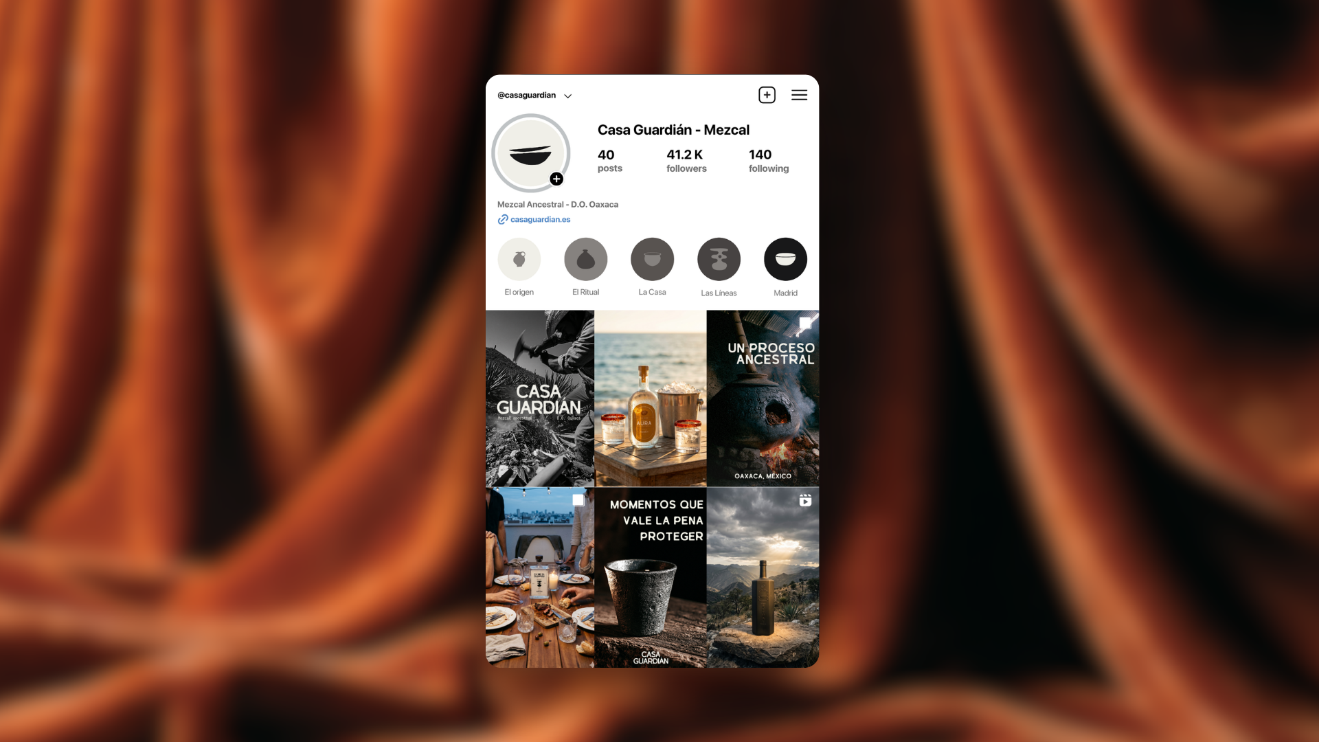 Perfil Instagram Casa Guardián — 412K seguidores