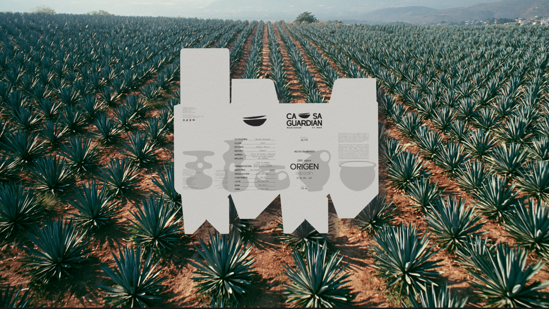 Packaging ORIGEN desplegado